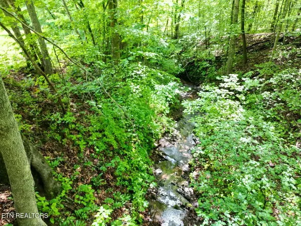 Maynardville, TN 37807,287 Hayes Hollow LN