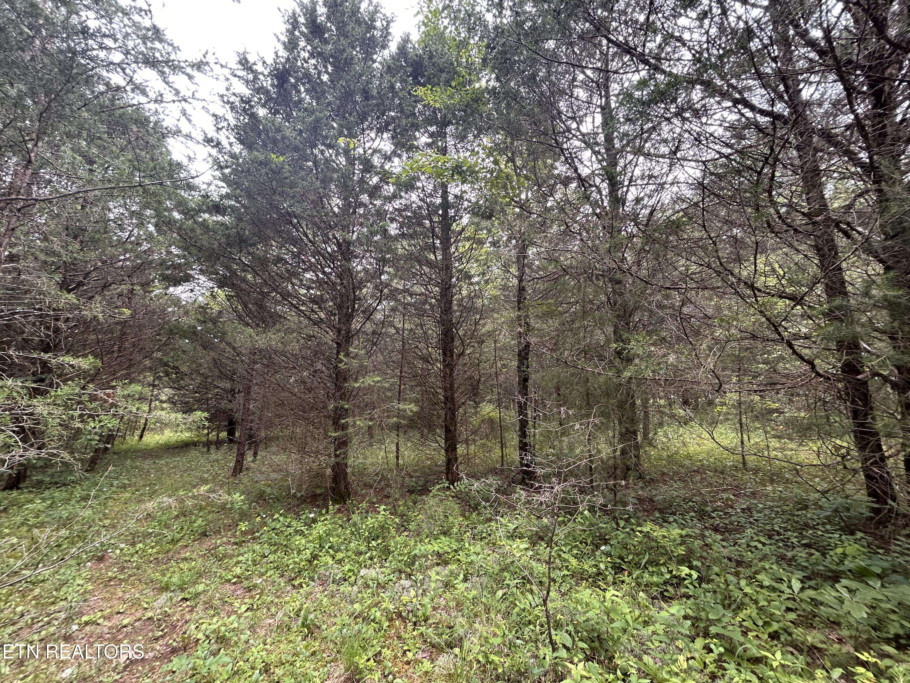 Crossville, TN 38572,0 Breckenridge DR