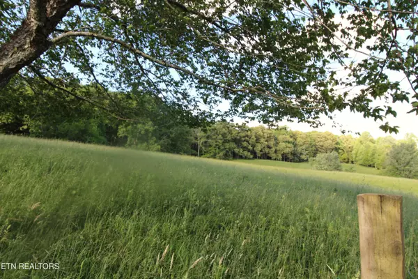 Crossville, TN 38572,1038 Newton Lane, 89 Acres