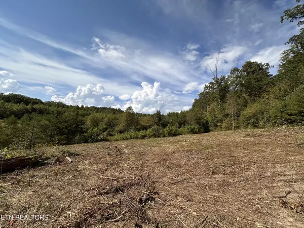 Allardt, TN 38504,13.44 Ac Chestnut Ridge Rd