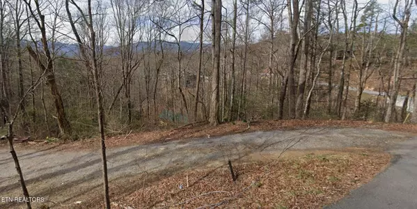 Gatlinburg, TN 37738,Shady Grove LN