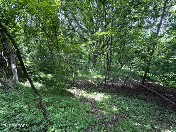 Tazewell, TN 37879,5.74 acres Bailey Cemetary Rd