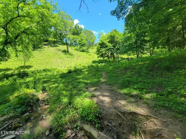 Rogersville, TN 37857,Tract 7 Sandy Valley Rd