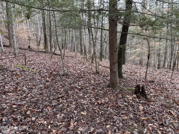 Huntsville, TN 37756,William Newport Rd