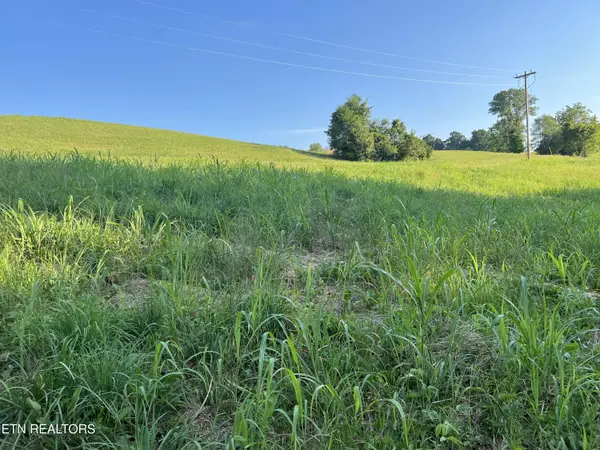 Lot 20 Amonett CIR, Byrdstown, TN 38549
