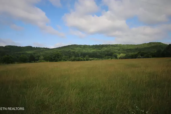 Tellico Plains, TN 37385,110 Acres Bivens Rd.