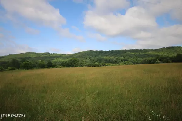 Tellico Plains, TN 37385,110 Acres Bivens Rd.