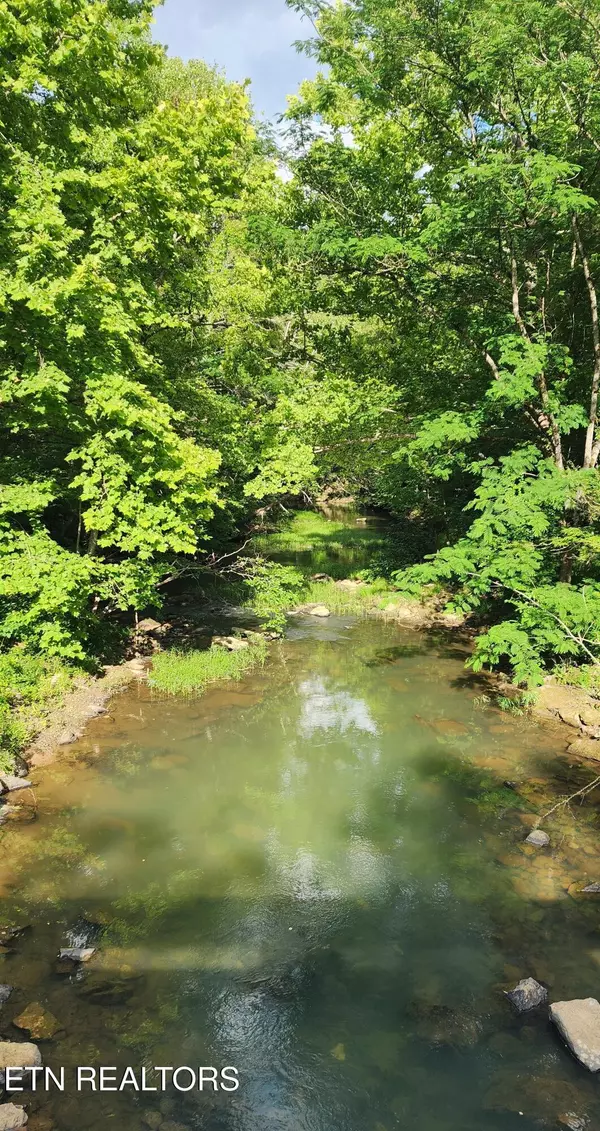 Winfield, TN 37892,Lower Capuchin Rd