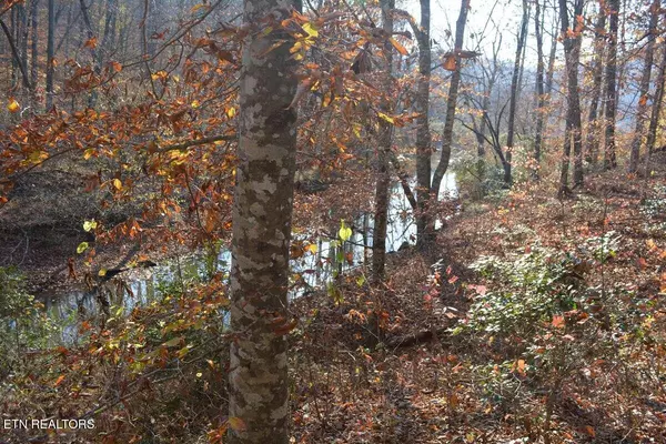Winfield, TN 37892,Lower Capuchin Rd