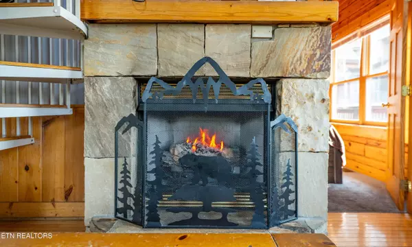 Pigeon Forge, TN 37863,407 Big Bear WAY