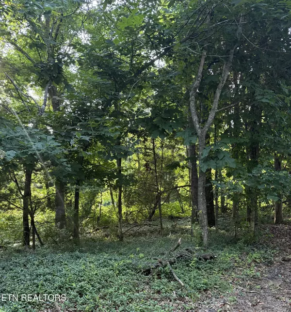 Lancing, TN 37770,Lot 8 Catoosa Woods DR