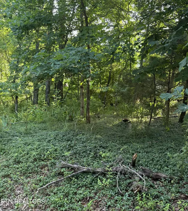 Lancing, TN 37770,Lot 8 Catoosa Woods DR