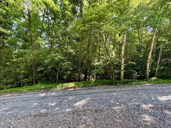Cosby, TN 37722,00 Grand Country DR