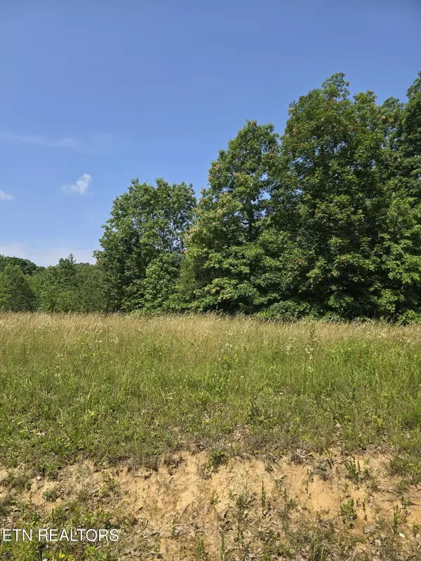 Jamestown, TN 38556,Lot 61 Stone Cliff LN
