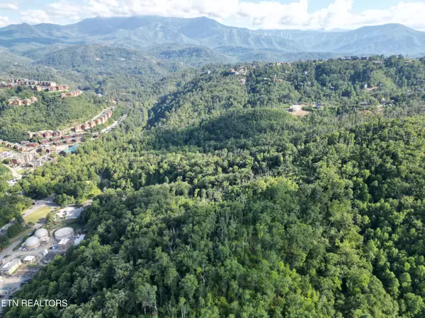 Gatlinburg, TN 37738,Wiley Oakley DR