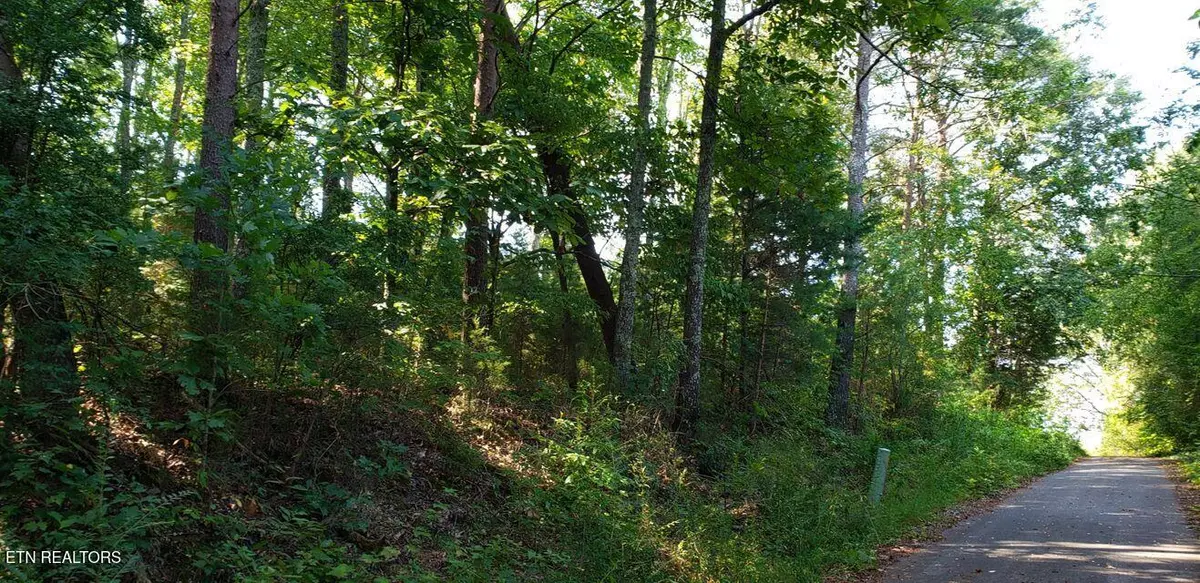 Dunlap, TN 37327,5 Treeline DR