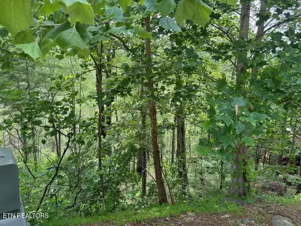 Sevierville, TN 37862,Lot 18 Turkey Creek WAY