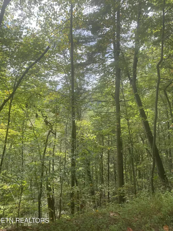 Sevierville, TN 37876,Lot 9 Sunset Rd