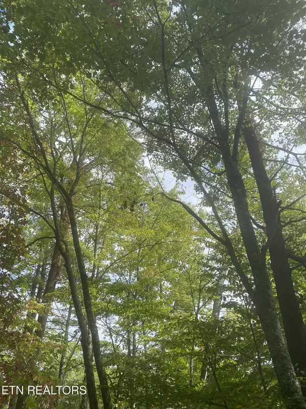 Sevierville, TN 37876,Lot 9 Sunset Rd