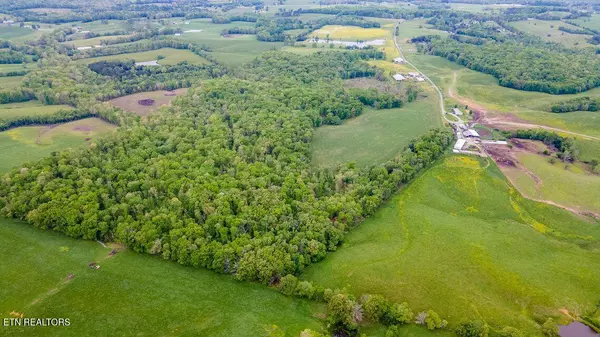 Pikeville, TN 37367,1711 Bradley Wyatt Rd