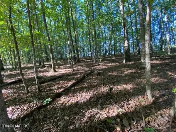 Grandview, TN 37337,Partridge Tr