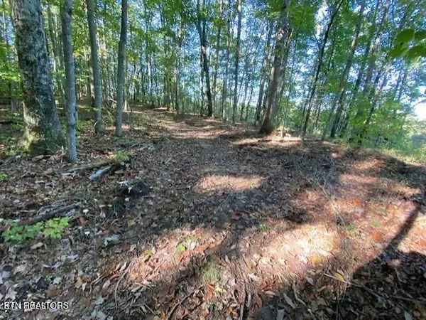 Grandview, TN 37337,Partridge Tr