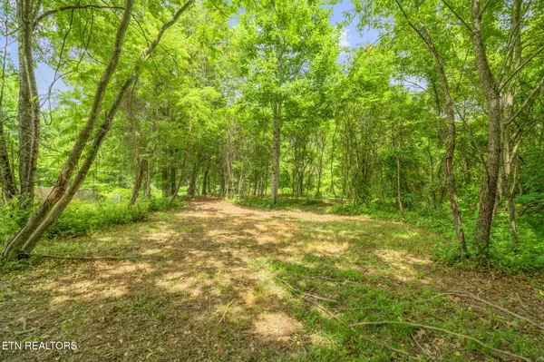 Clinton, TN 37716,Tract 2 Black Oak Road