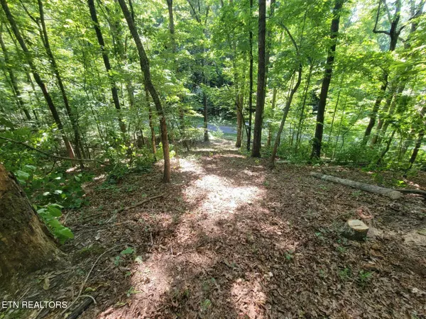 Loudon, TN 37774,6224 Get Good Hollow Rd