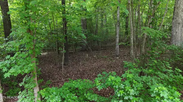 Harrison, TN 37341,5671 Willow Point LN