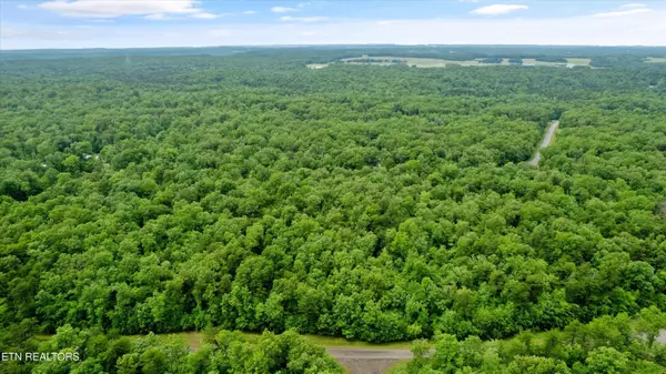 Monterey, TN 38574,1.58 ac Mountain Ash DR