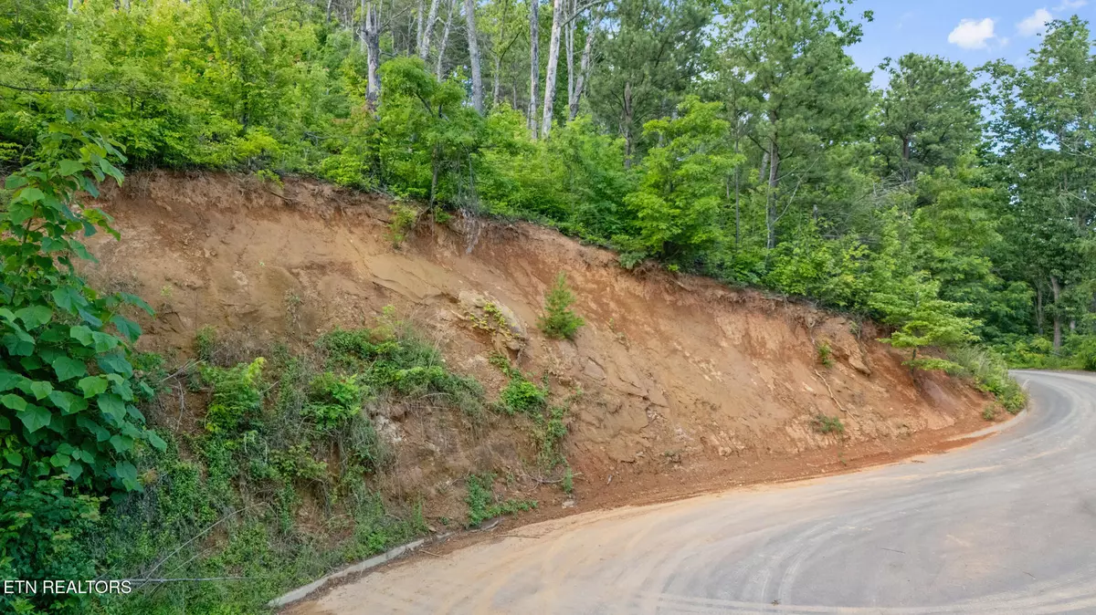 Sevierville, TN 37862,lot 48 Spurling Rd