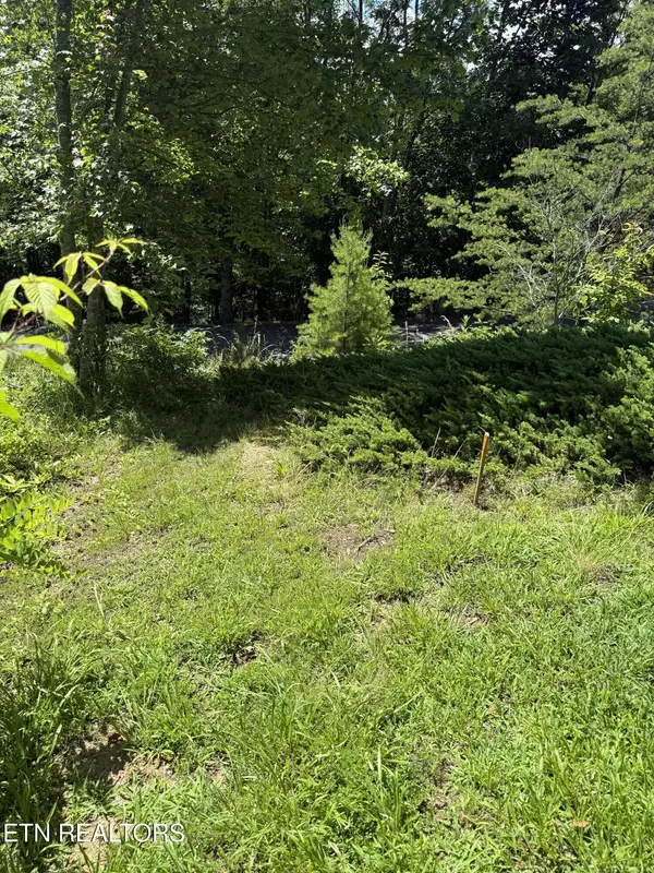 Sevierville, TN 37862,0 Smoky Vista WAY