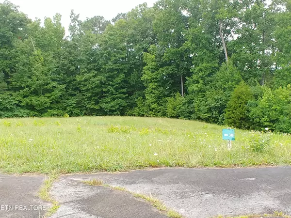 Decatur, TN 37322,0 Mill DR