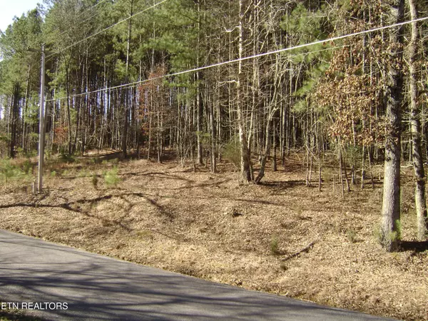 Spring City, TN 37381,0 Torbett Road Rd
