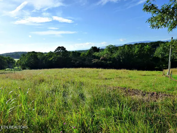 Lot 13F Sunnydale CIR, Dandridge, TN 37725