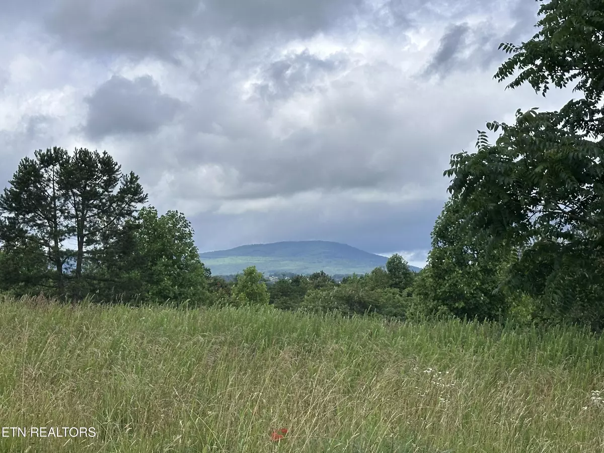 Grandview, TN 37337,Tower Rd