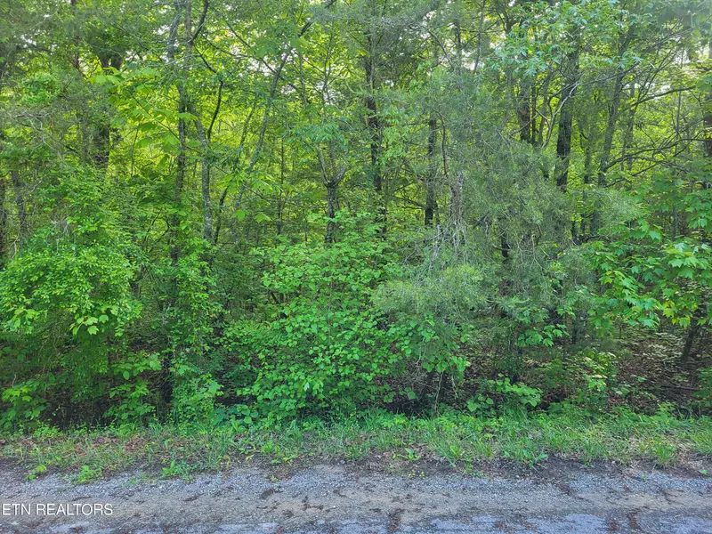 149 Tawny Oak LOOP, Crossville, TN 38558