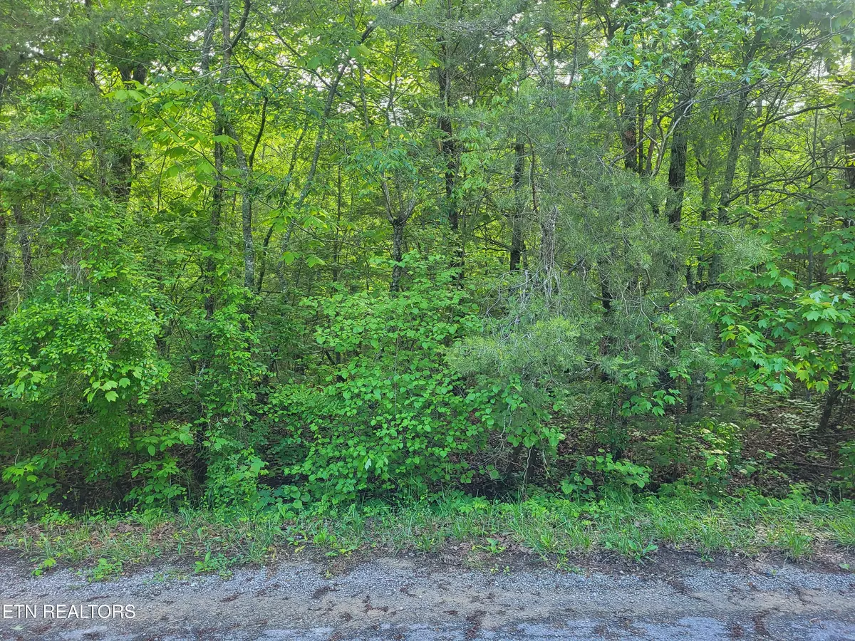 Crossville, TN 38558,149 Tawny Oak LOOP