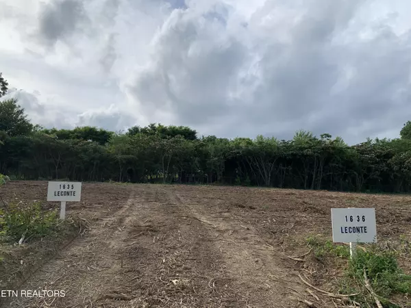 Knoxville, TN 37914,1636 Leconte Rd