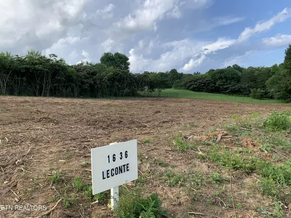 Knoxville, TN 37914,1636 Leconte Rd