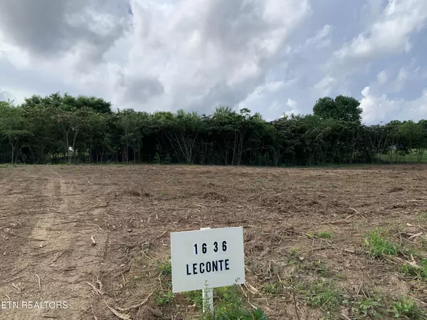 Knoxville, TN 37914,1636 Leconte Rd