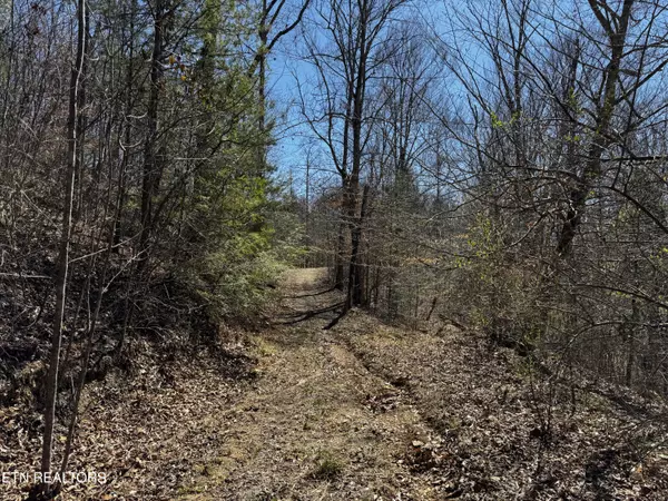 Pioneer, TN 37847,Melvin Hollow Rd