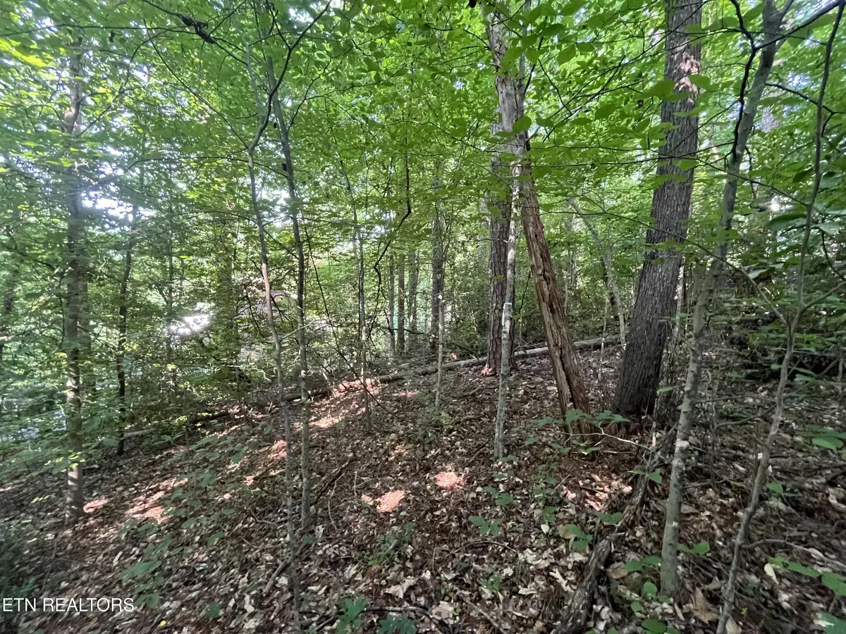 Knoxville, TN 37920,2504 Craghead LN
