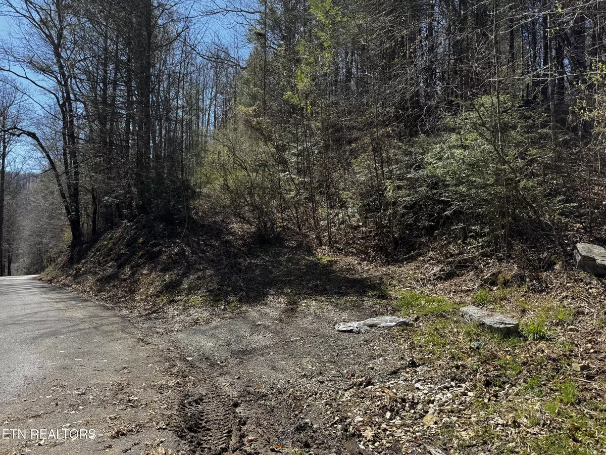 Pioneer, TN 37847,Melvin Hollow Rd