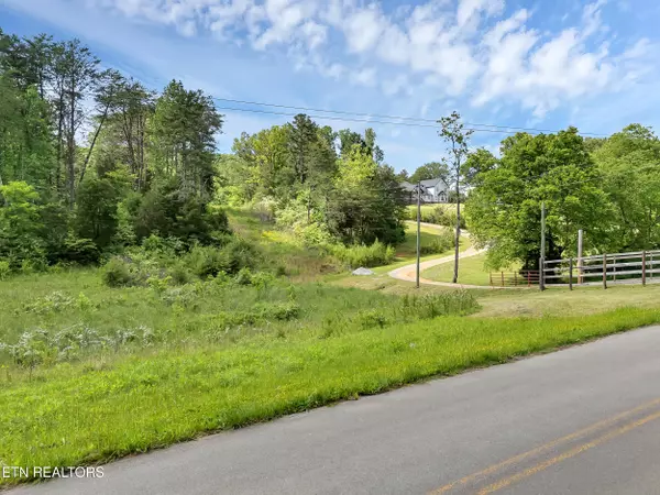 Friendsville, TN 37737,Marble Hill Rd (8+ Acres)