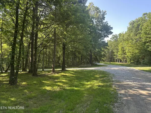 Crab Orchard, TN 37723,Running Deer