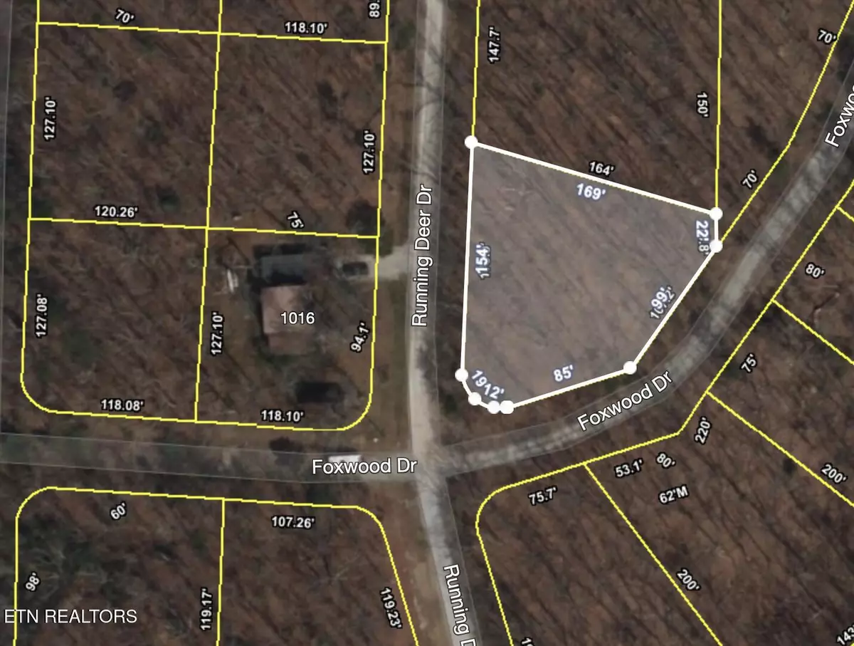 Crab Orchard, TN 37723,Running Deer