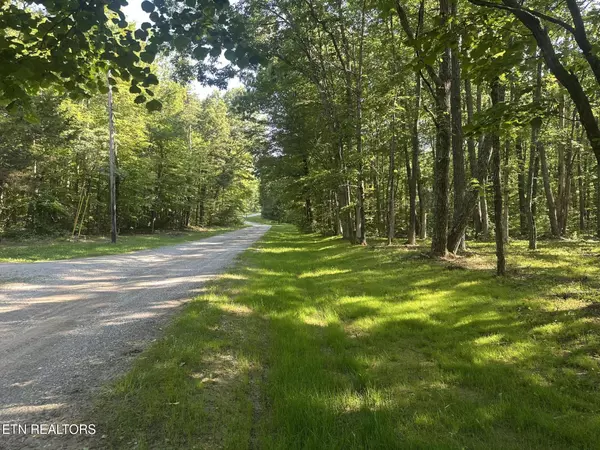 Crab Orchard, TN 37723,Running Deer