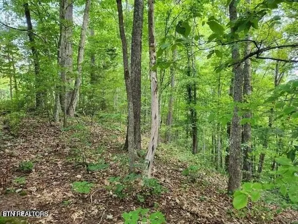 Sevierville, TN 37876,Pea Hollow Rd