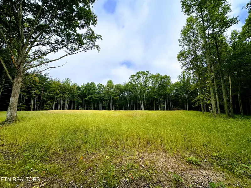 89.5 Ac Mose Beaty Rd, Jamestown, TN 38556